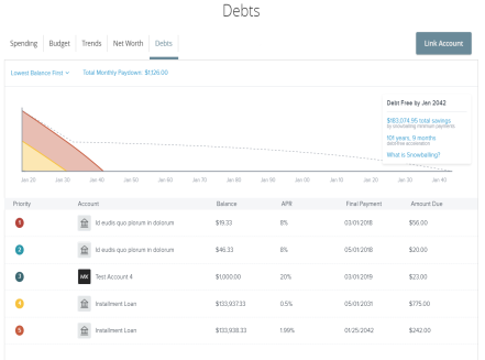 Debts detail